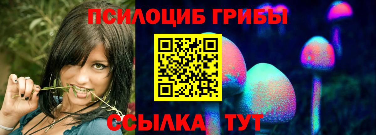 Саяногорск  Галлюциногенные грибы MAGIC MUSHROOMS  Вход с VPN  Псилоцибиновые грибы мухоморы 